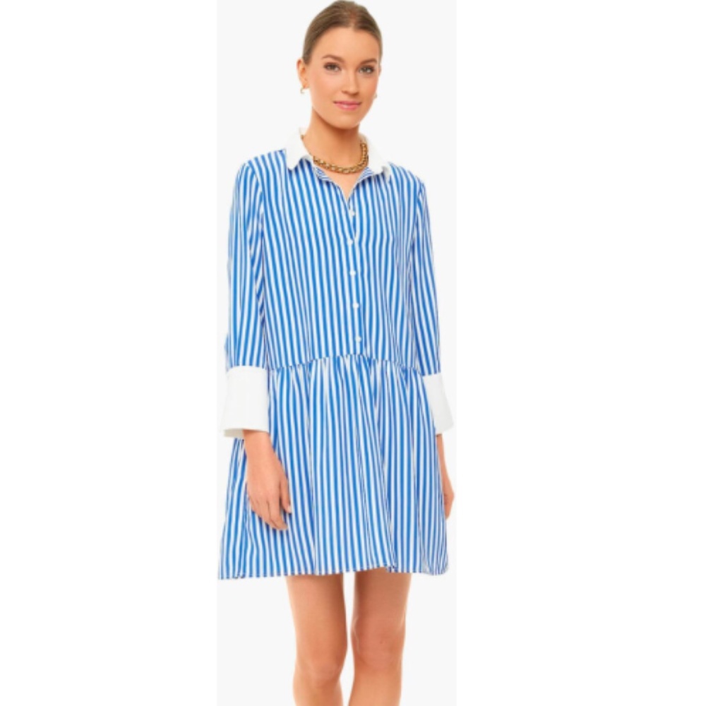 NWT Tuckernuck Blue Stripe Hayes Dress - Size XL
